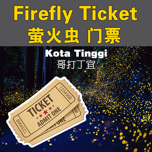 FireFly Ticket 萤火虫门票